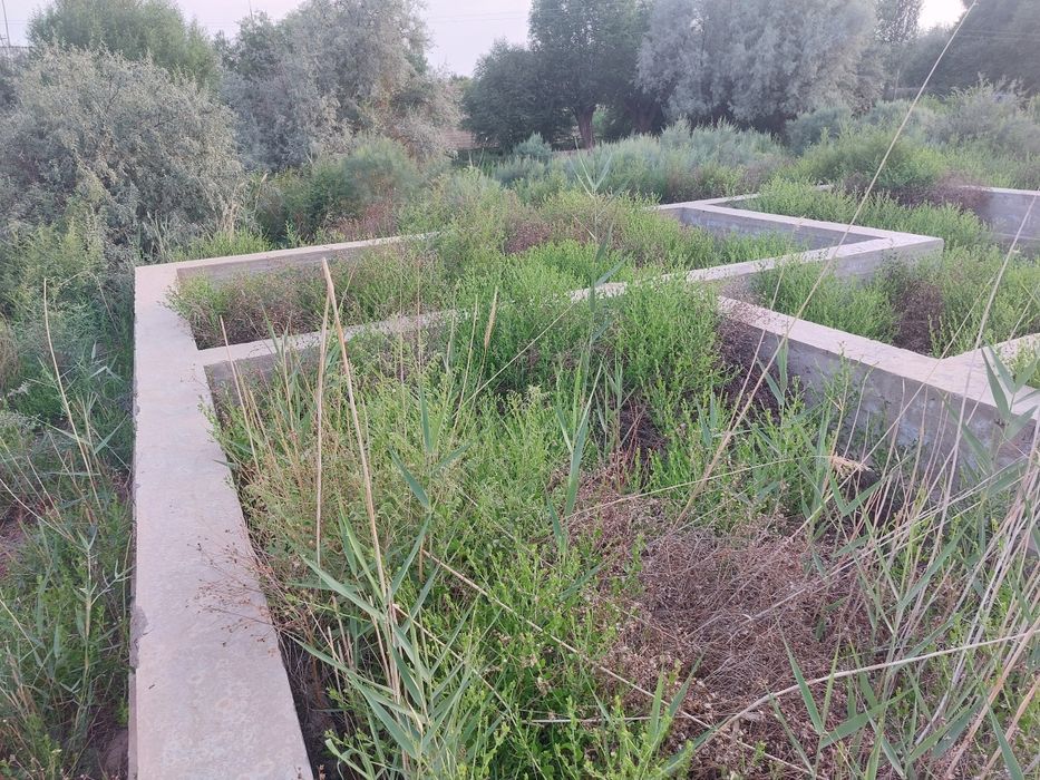 Жер план сатылады