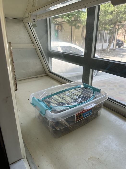 Витринный холодильник для хранения Sino