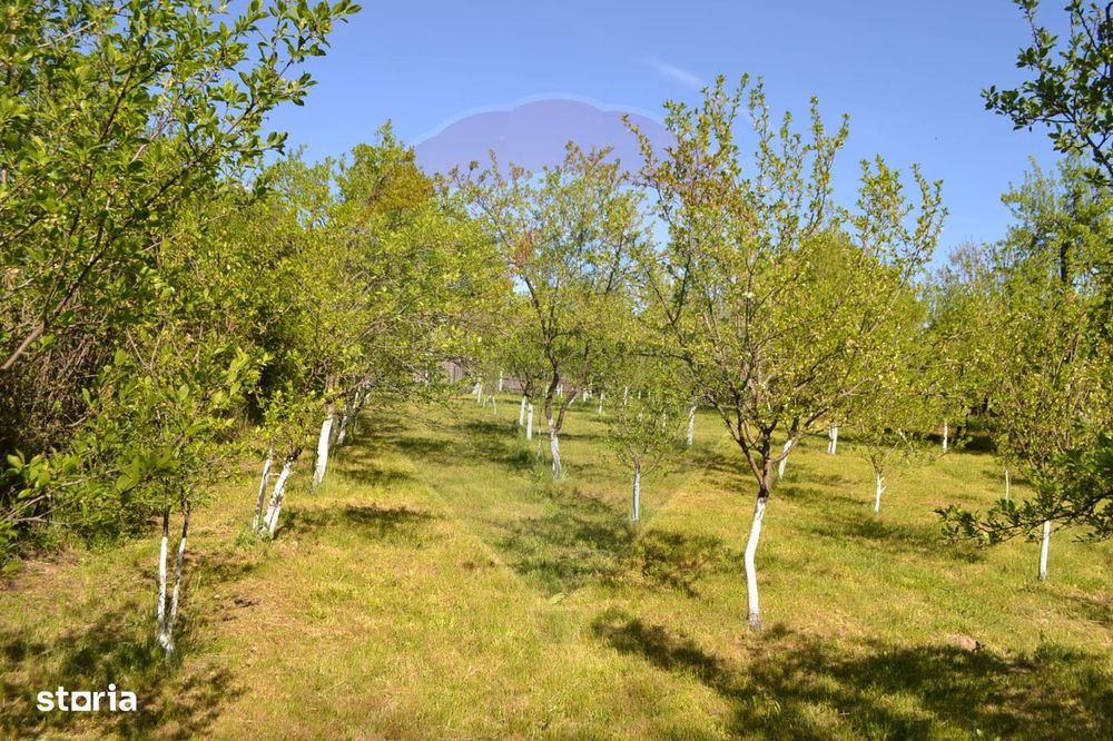 Casă / Vilă de vânzare Picior de Munte, Dambovita