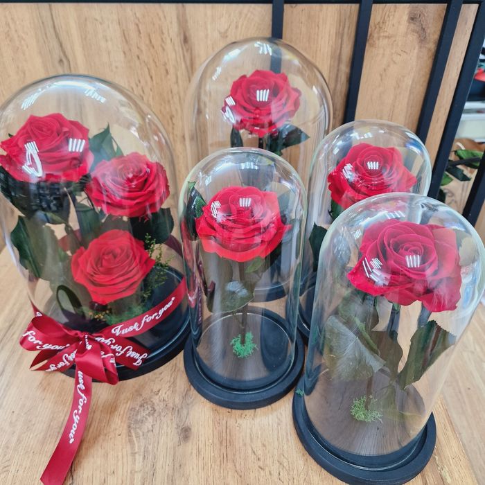 Роза в колбе ,цветы стабилизированные