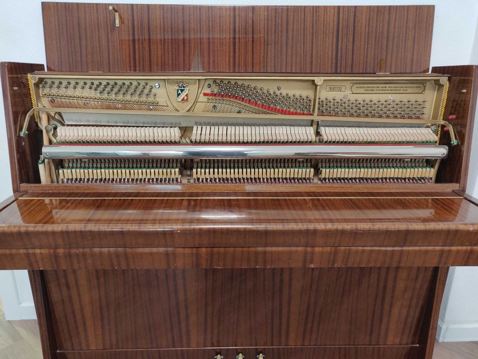 Роскошный инструмент Petrof