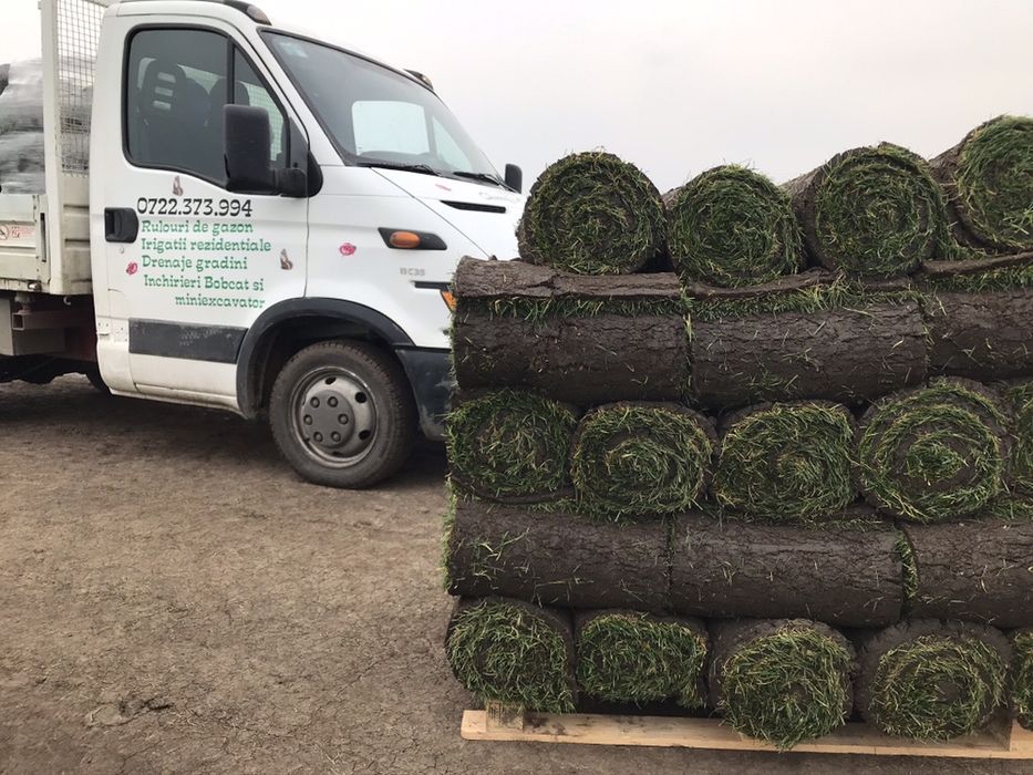 Rulouri de gazon rulou role gazon rulouri