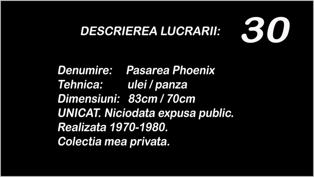pictura ulei pe panza Dan Aurel- Pasarea Phoenix, 83 cm/70 cm, tablou
