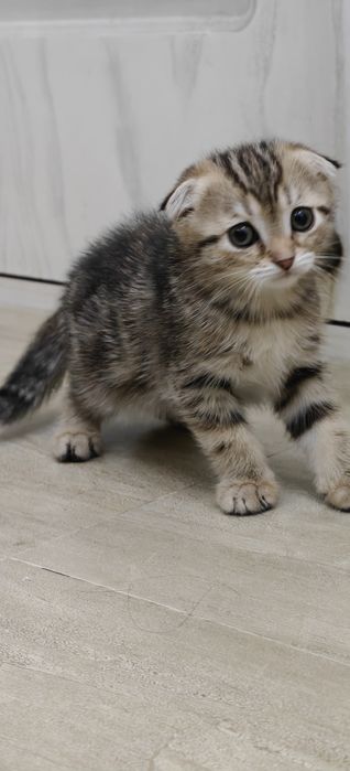 Chiroyli va muloyim portlashni tomosha qiling