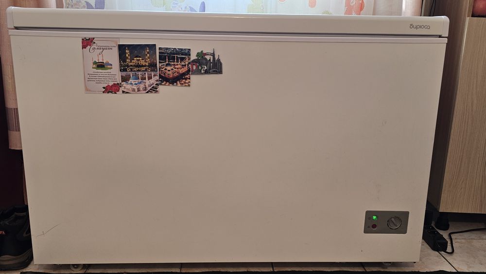 Маразилник Бирюса