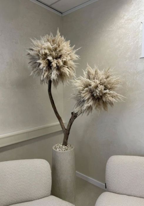 Copac decorative Pampas