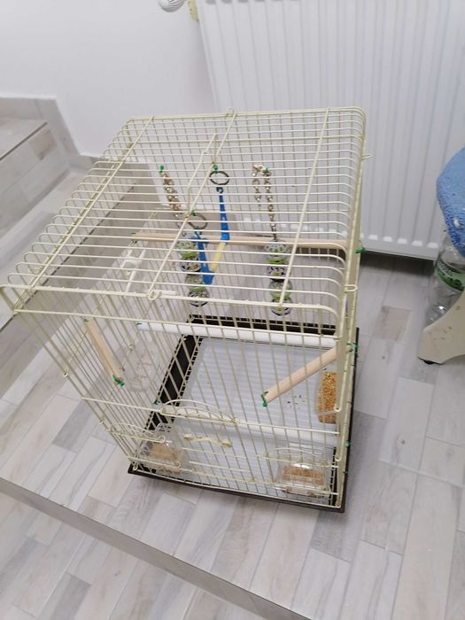 Colivie păsări XXL