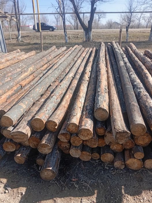 Пиломатериалы оптом и в розницу