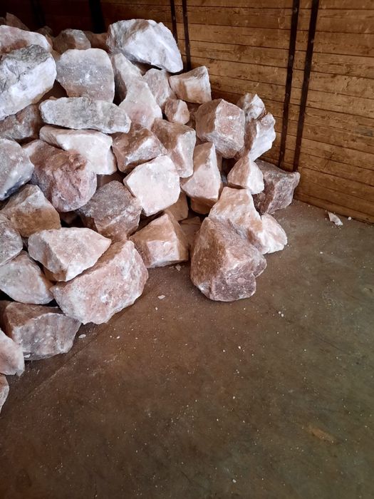 Тикен туз 180 тг за кг