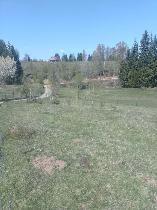 Teren intravilan si extravilan Râșca