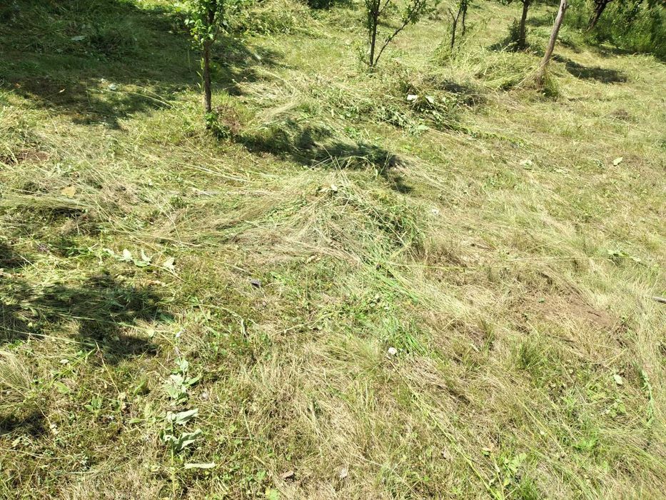 Vând fân şi otavă ecologică vrac
