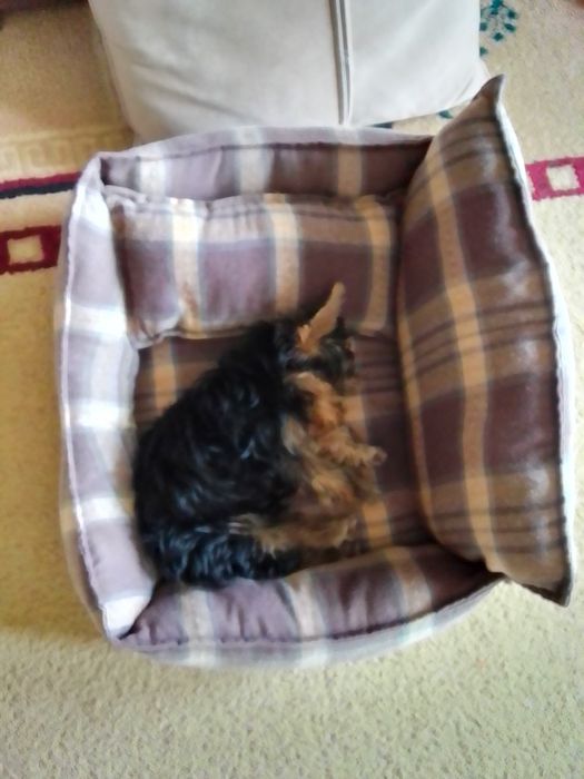 Продам подушку для животных