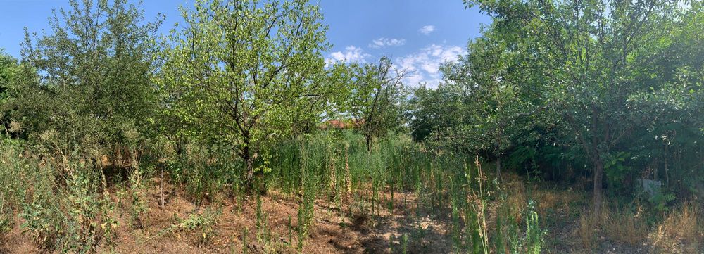 Продава се Къща в с. Долни Луковит, Област Плевен - 70 кв.м за 219 €/кв.м - Снимка #15