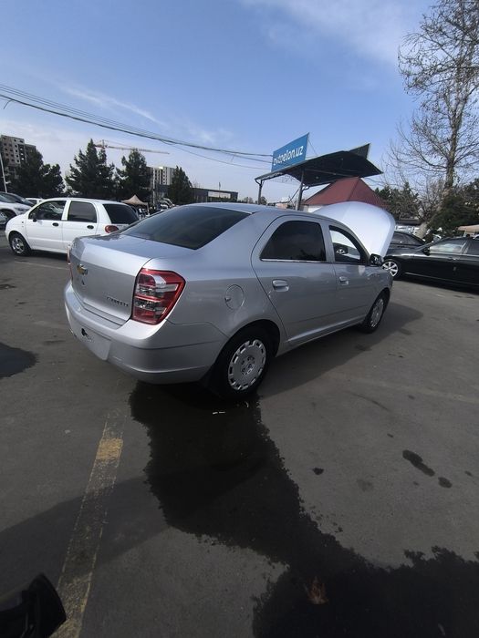 2013 йил 235000 Юрган битта крило краска 2 карич петноси бор