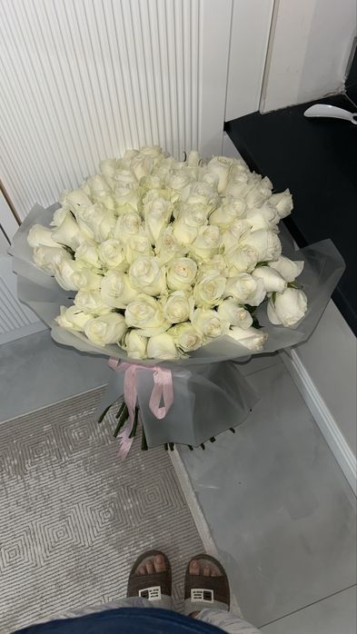 Свежый гул бугинги