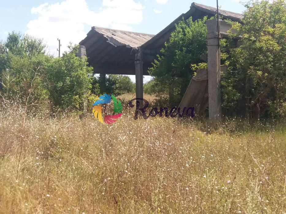 Продава се Парцел в с. Левски, Област Варна - 2782 кв.м за 20 €/кв.м - Снимка #3