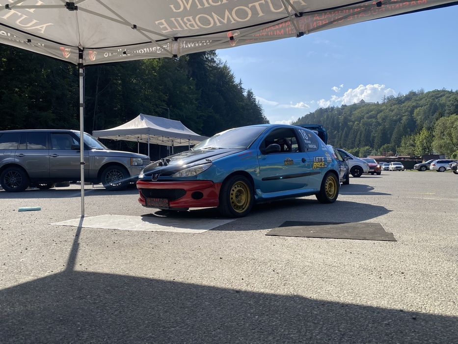 Peugeot 206 destinat competitiilor sportive