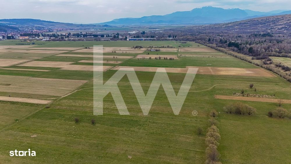 Teren intravilan – Zarnesti, Zona Penny | 25 Euro/ mp
