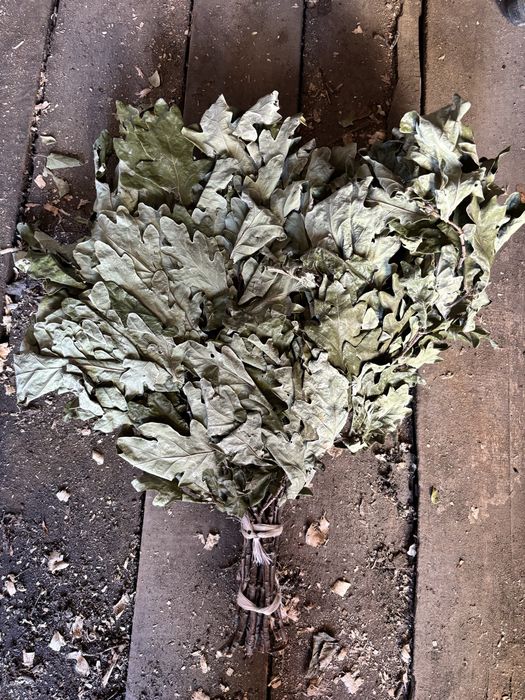 Дубовые веники этого глда