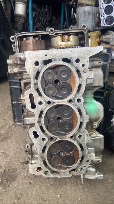 Галовка камри