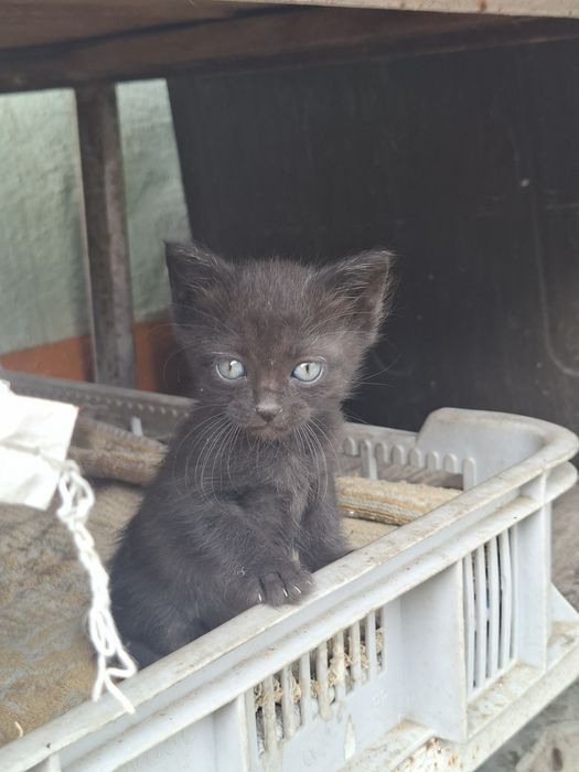 Счастье, которое точно не даст заскучать