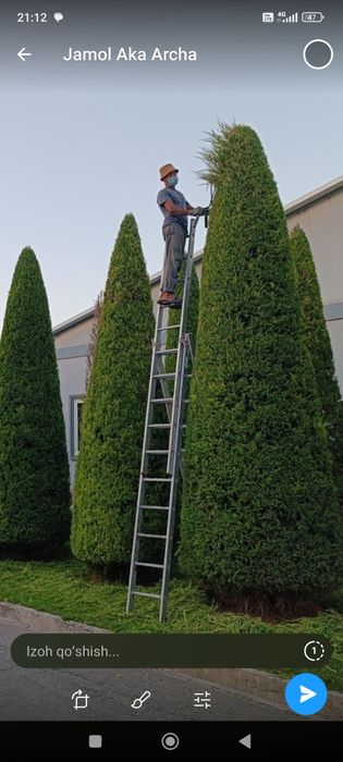 Арча кесиш дорилаш
