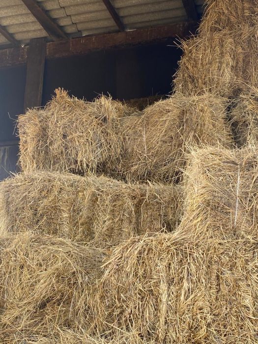 Продам сено в тюках