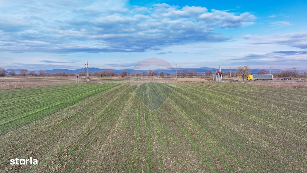 Teren 5,300mp Prejmer / DN11 Brașov-Covasna