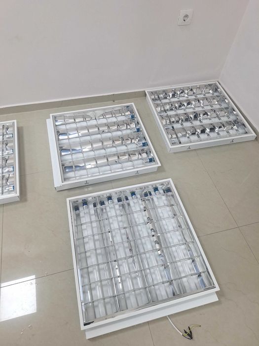 Крушки във рамки 5 броя