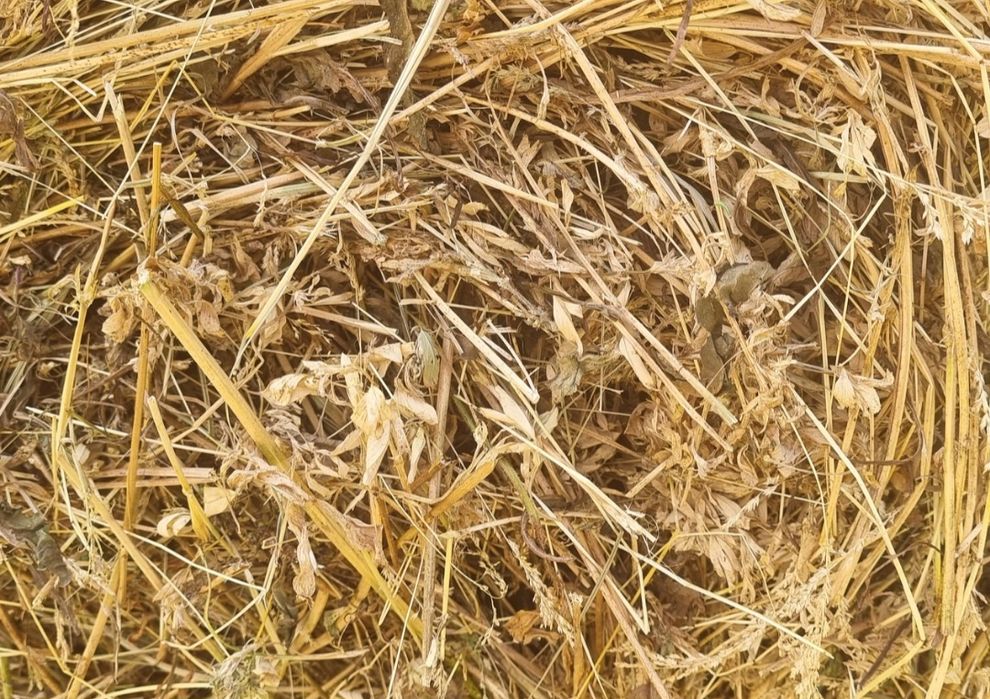 Vând baloti fân/lucernă