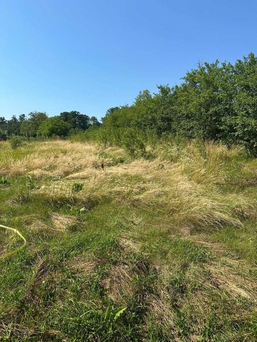 Casa batraneasca+ anexa+ beci+ 5700mp teren cu deschidere la drum principal si padure la numai 19 km de orasul Iasi