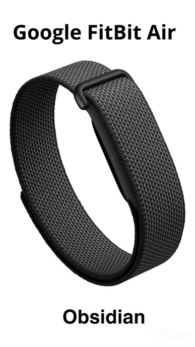 Google Fitbit Air STEPHEN CURRY