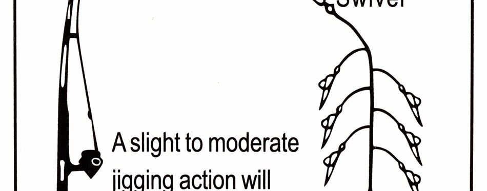 Рибарски примамки,стръв, силиконови скариди, червеи, царевица