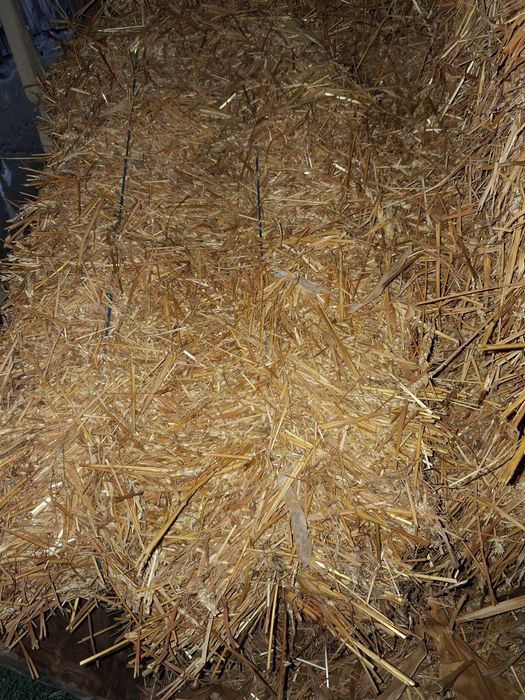 Baloti de paie de vanzare