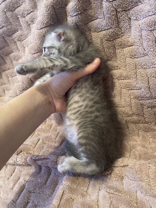 Обмен на планшет