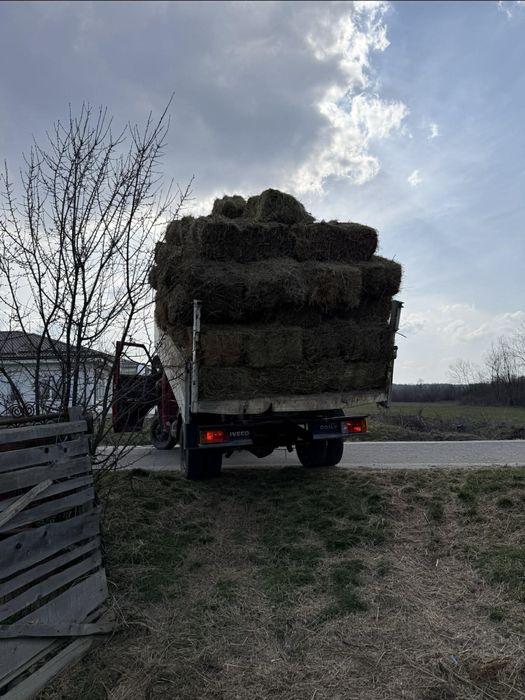 Gunoi, carbune, pamant fertil adus la comanda
