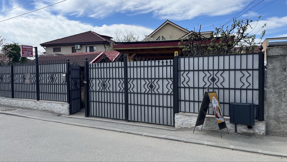 Vila spatioasa+societate comerciala