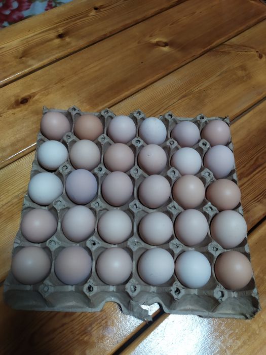 Яйца куриные домашние