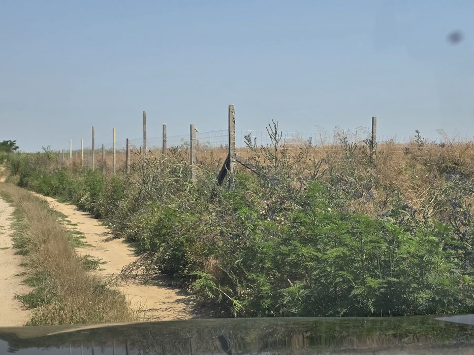 Teren intravilan malu mare/schimb cu auto