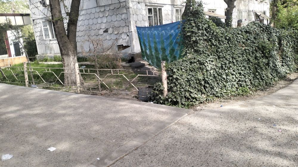 Спутник1 59д 3ком пот офис магазин