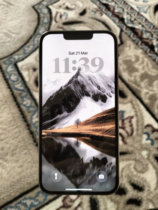 iPhone 13 Pro (256 GB)