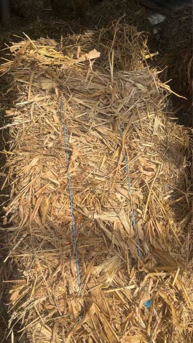 Baloti de cocenasi si trifoi !