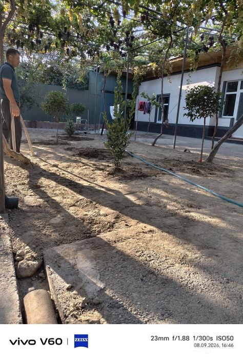 Landshaft dizayn hizmati