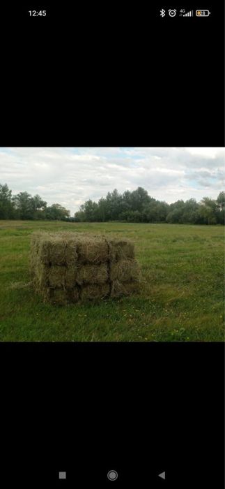 Продам сено тюки
