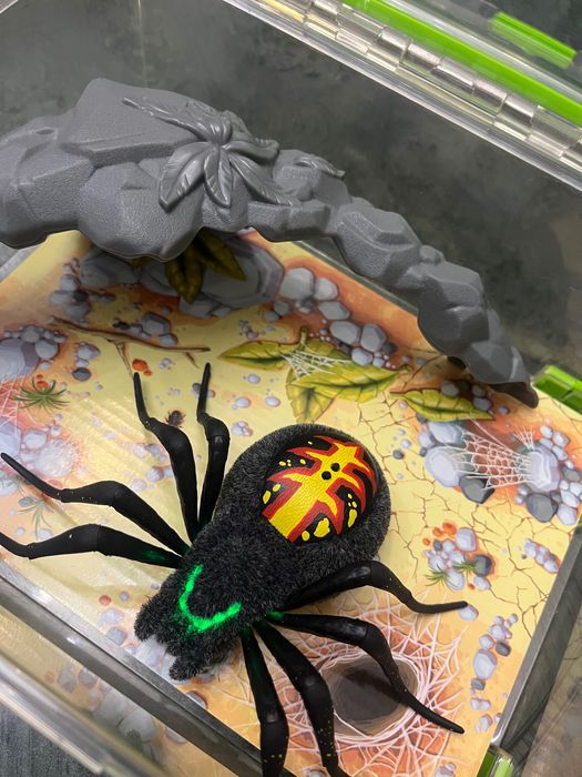 Логово паука игрушка