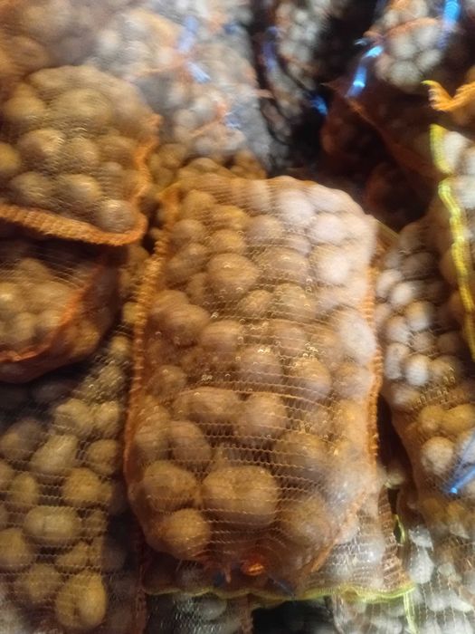 Cartof consum si samanta