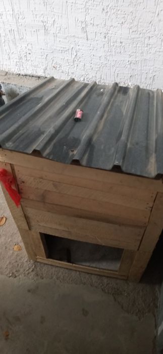 Собачая бутка новая