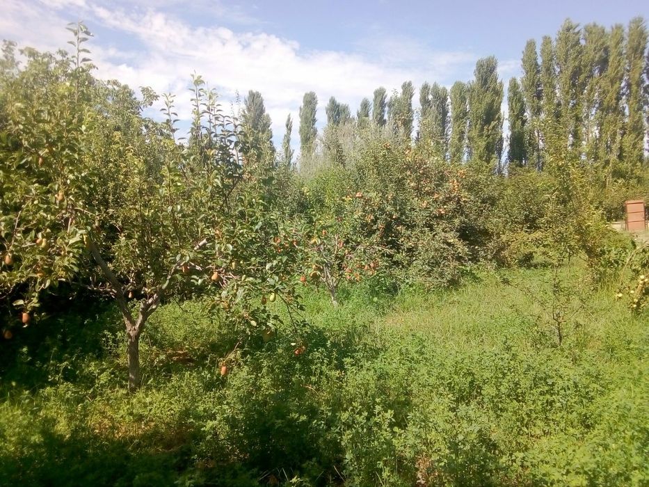 Uy Sotiladi Bo'syonliq Yangi Ovul 13.80 Sotiq