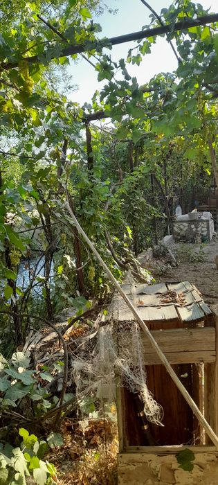 Ховли санатория бустон