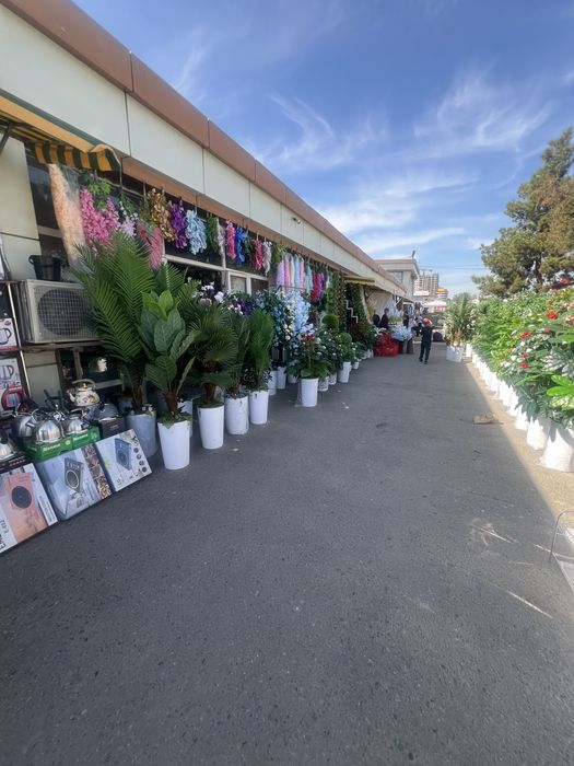 Do'kon sotuvda chinni bozori